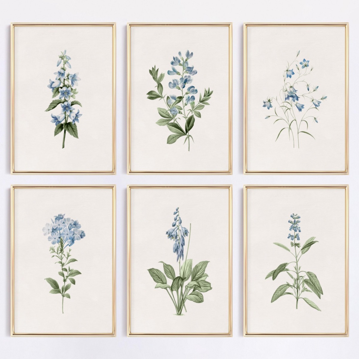 Photography Nature - 1 Stück Blauer Wildblumen Botanischer Leinwanddruck