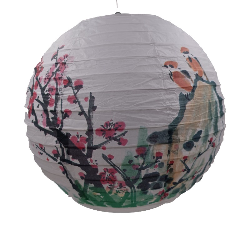 30cm Bedruckte Papier-Laternen – Photography Paper Bewertung und Preis